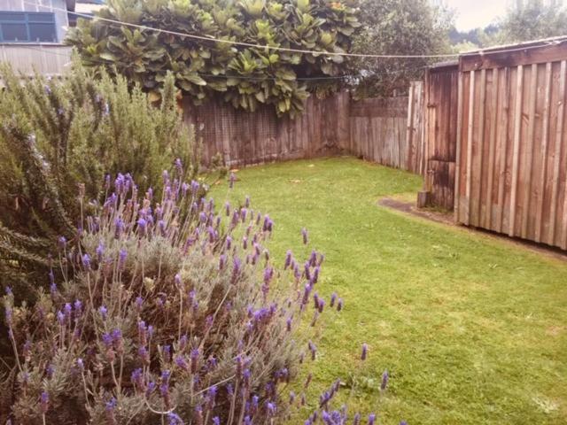 Mollies Place - Waihi Beach Holiday Unit Exteriör bild